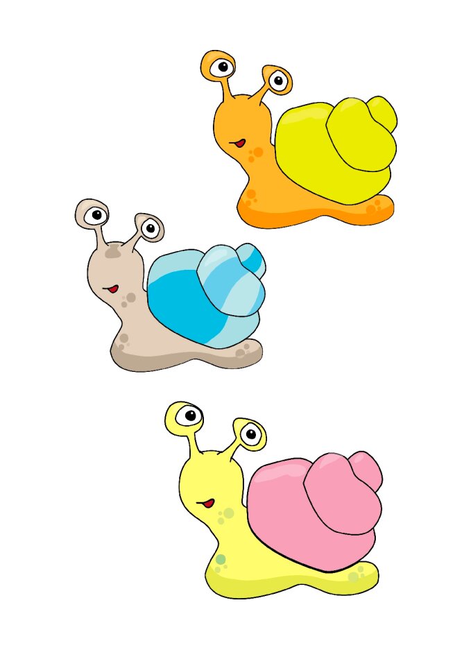 Animal eyes shell