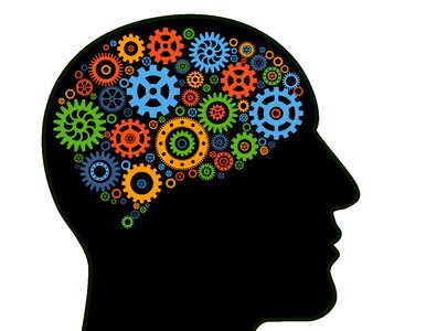 Face human mechanics