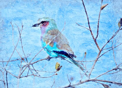 Art watercolor vintage