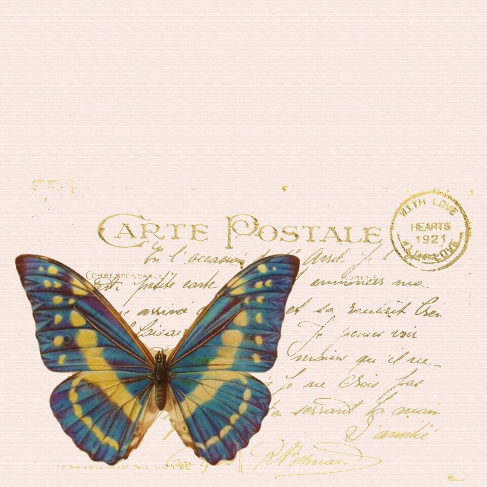Scrapbook page design