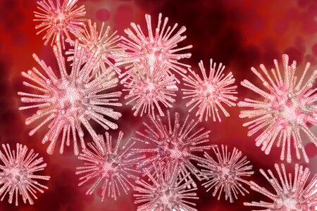 Microscope infection disease