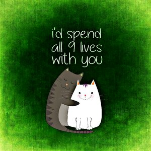 Smooch togetherness greeting card
