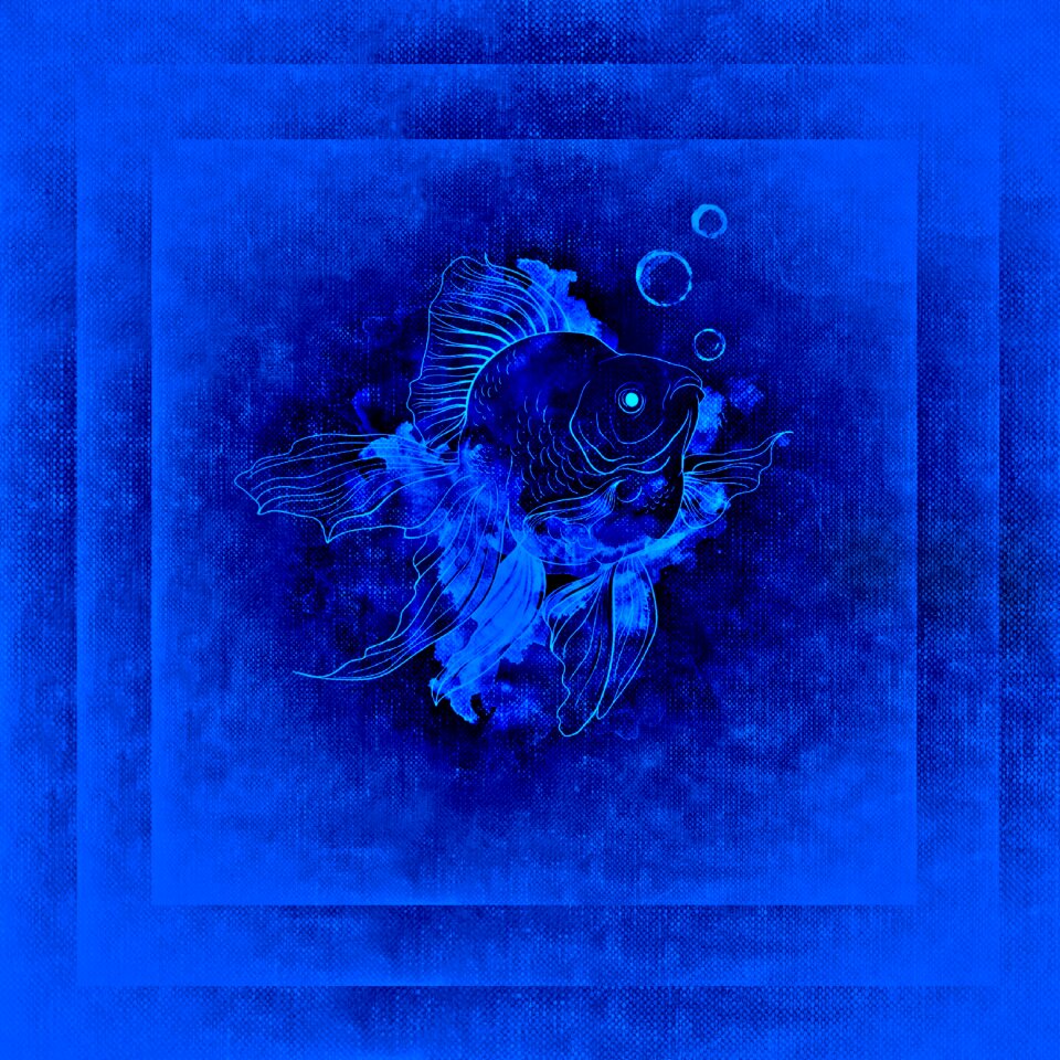 Water marine life Free illustrations
