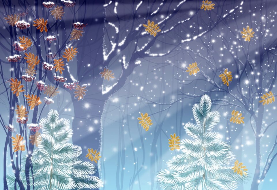 Forest rowan snow
