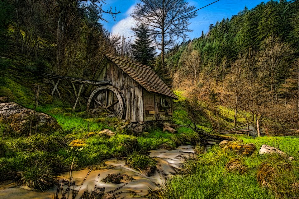 Water forest landscape