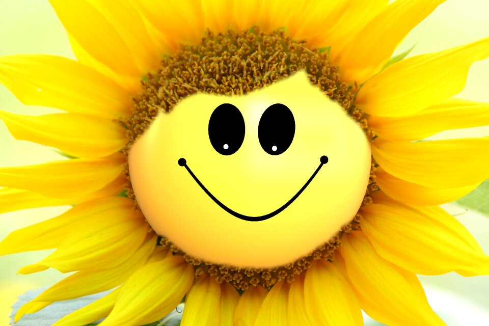 Smile hairstyle yellow
