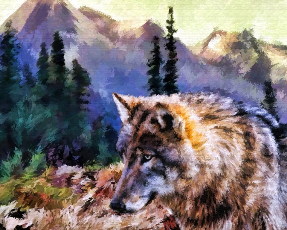 Animal outdoors nature