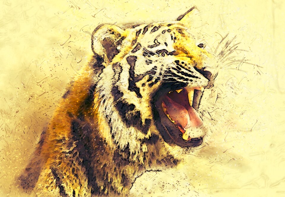 Predator dangerous close up