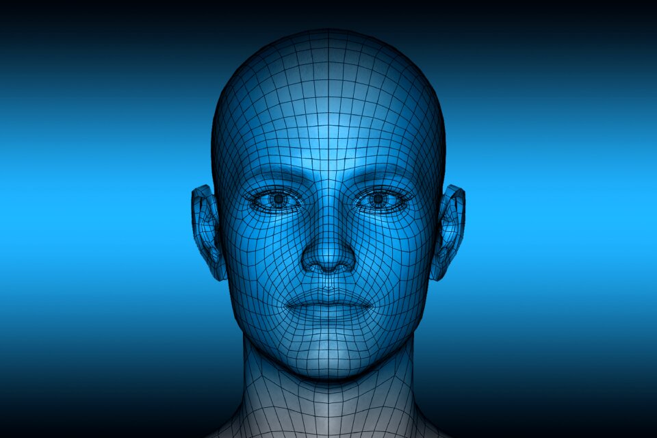 Intelligent information person
