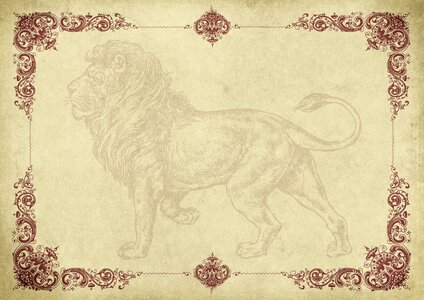 Lion vintage old