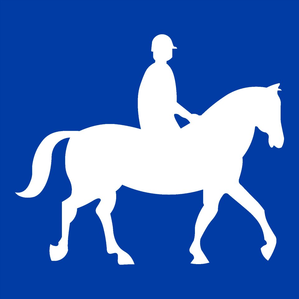 Nature horses pasture
