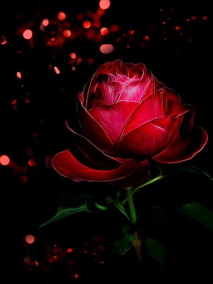 Magic shining blossom