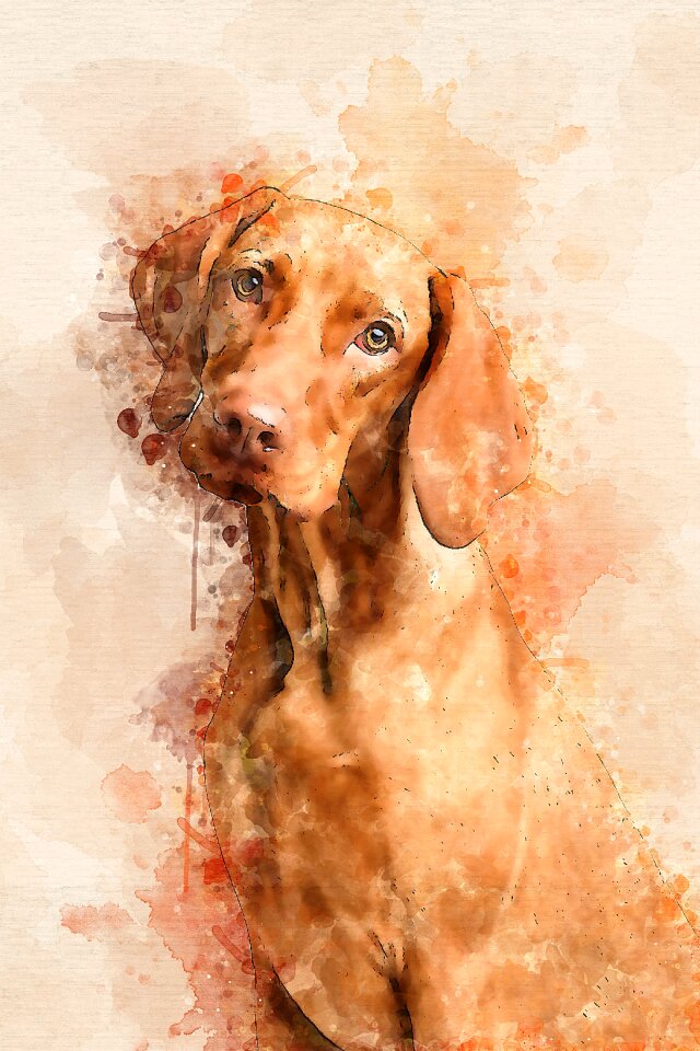 Painting watercolour creative