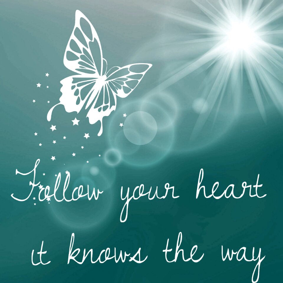 Butterfly sun joy