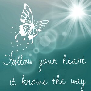 Butterfly sun joy