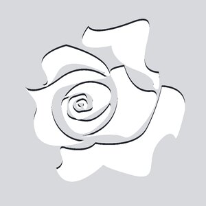 White flower Free illustrations