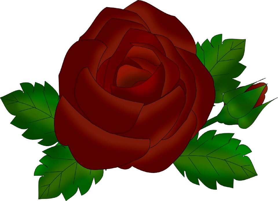 Flower red Free illustrations