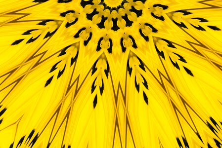 Plant yellow plant yellow pattern