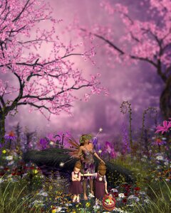 Fairy nature floral