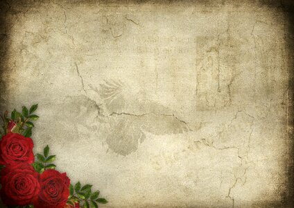 Raven texture gothic