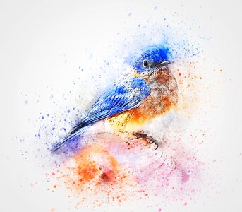 Art watercolor animal