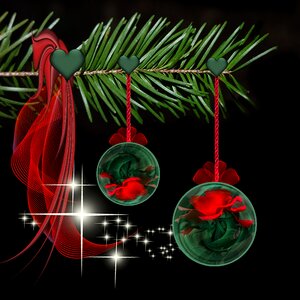 Seasonal festive decoration