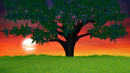 Landscape field Free illustrations