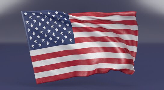 Freedom patriot patriotic