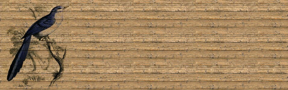Wood boards tree