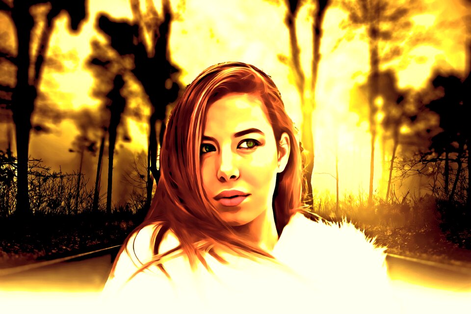 Forest beauty Free illustrations