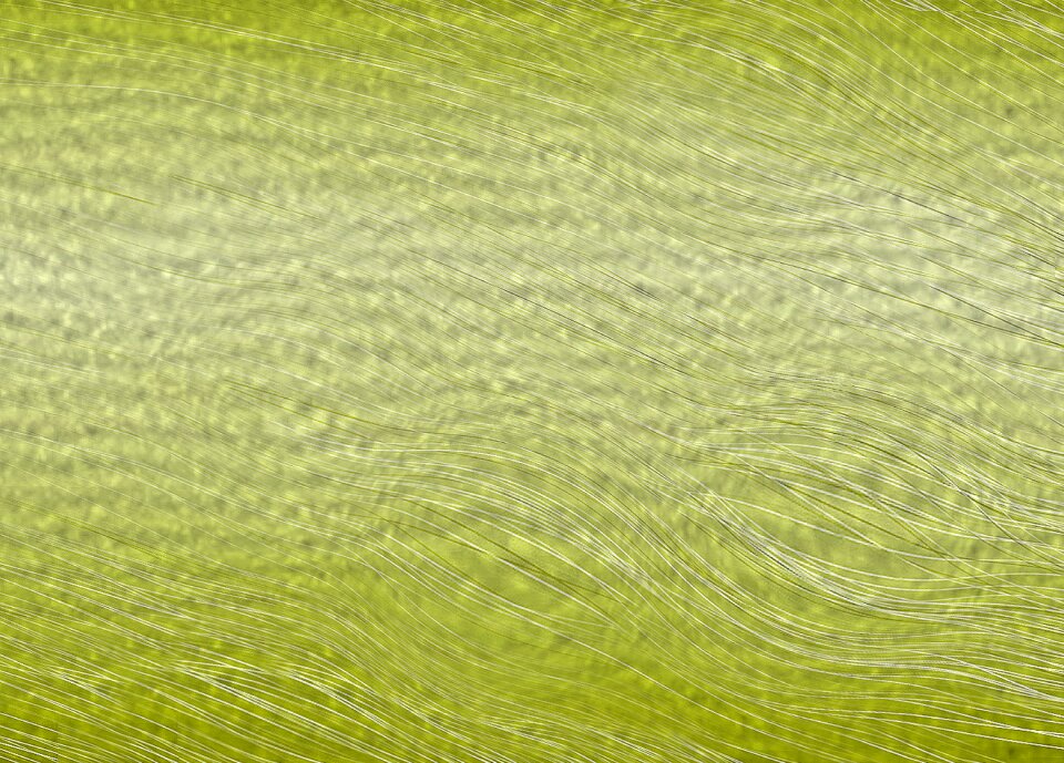 Swinging texture background