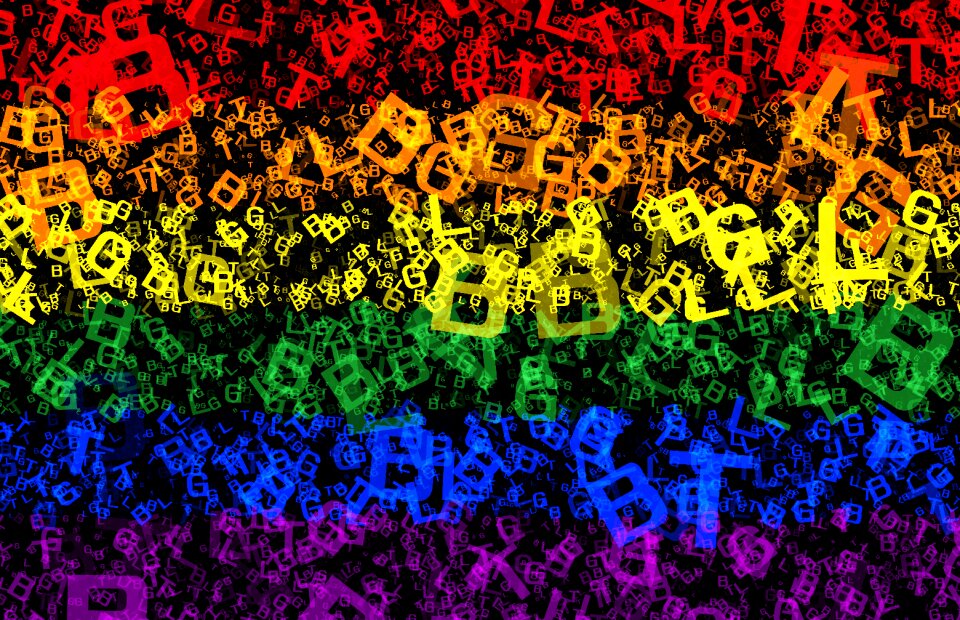 Gay lesbian equality