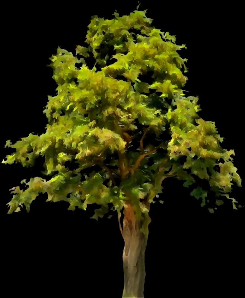 Graphic trees design