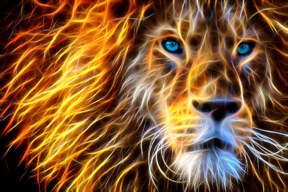 Animals face Free illustrations