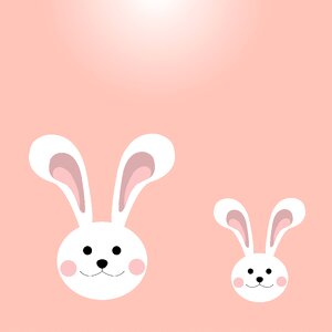 Cute animal Free illustrations
