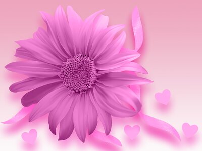 Background romantic background flower card