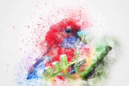 Watercolor animal colorful