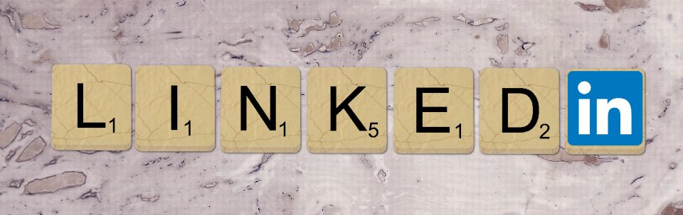 Professional network network social