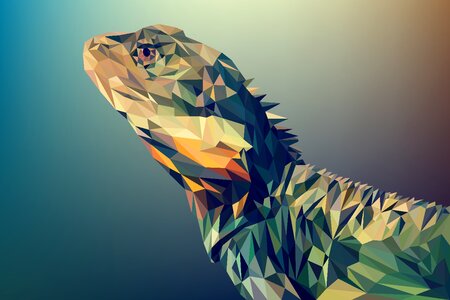 Art polygon illustration