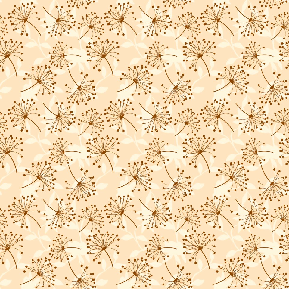 Rosa flower Free illustrations