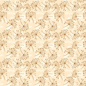 Rosa flower Free illustrations