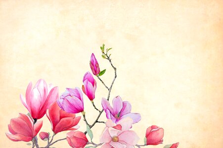 Floral spring vintage