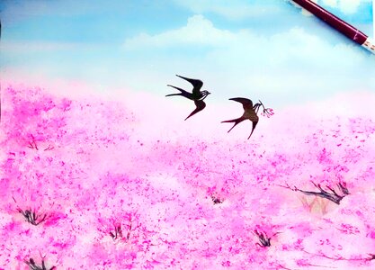 Swallow painting Free illustrations