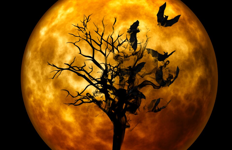 Darkness mystical gloomy