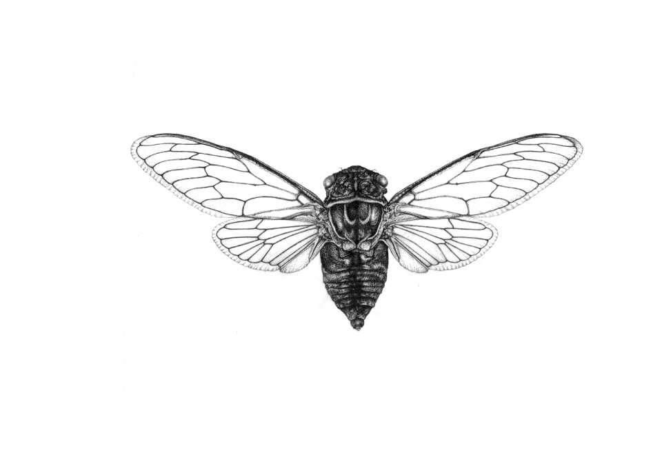 Flight nature ink