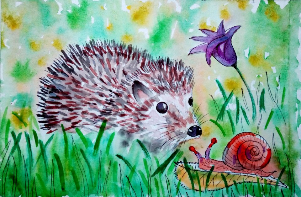 Watercolor illustration story