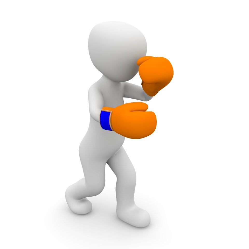 Human motivation martial arts