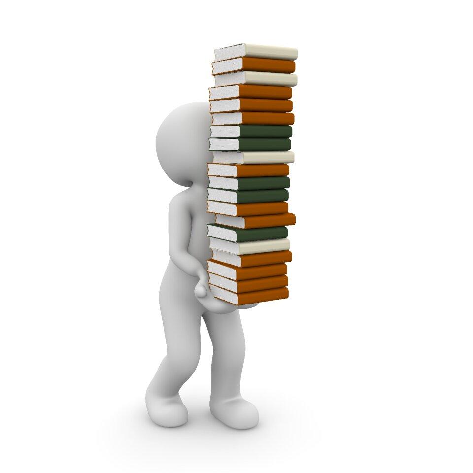 Study library education