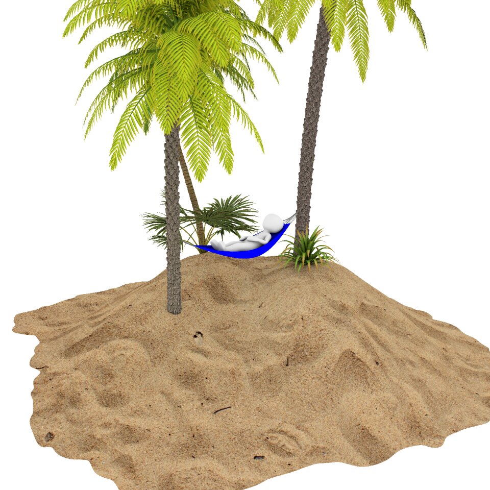 Coconut summer tree