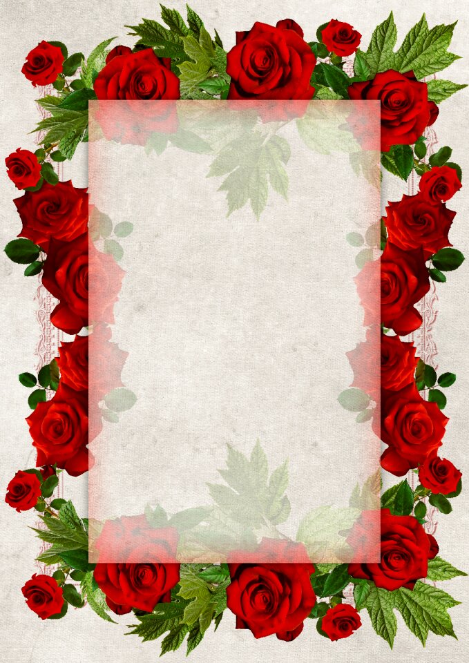 Copy space roses floral